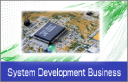 System Development Business
